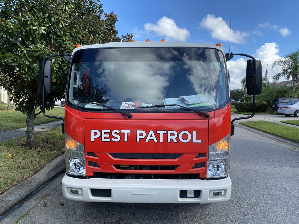 Pest Patrol place picture
